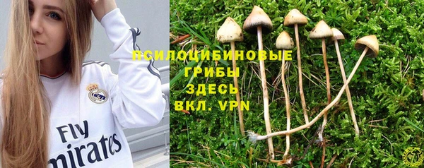бутират Няндома