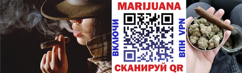 Бошки Шишки гибрид  продажа наркотиков  Пудож 